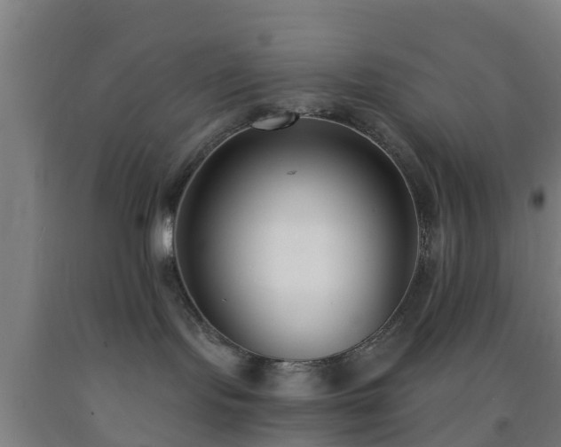 X0000093090095200709261238