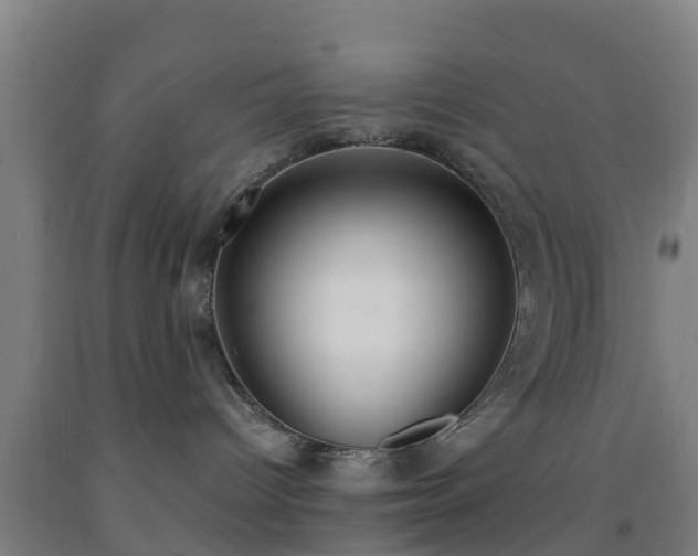 X0000093090096200709261238