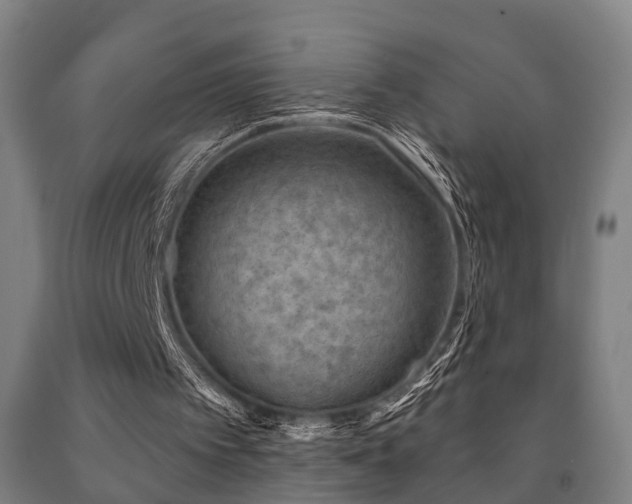 X0000093090097200709261237