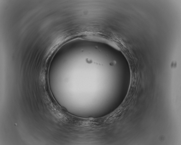 X0000093090098200709261237
