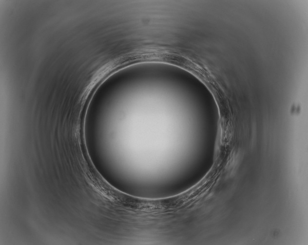 X0000093090099200709261237
