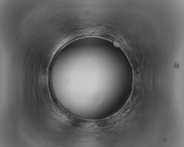 X0000093090100200709261237