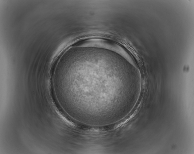 X0000093090101200709261237