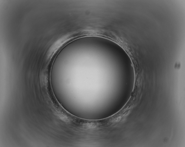 X0000093090103200709261237