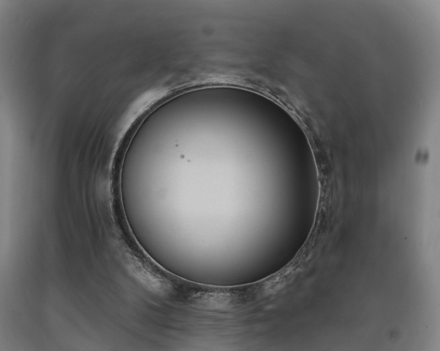 X0000093090104200709261237
