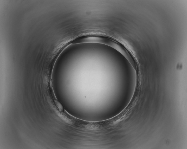 X0000093090105200709261237