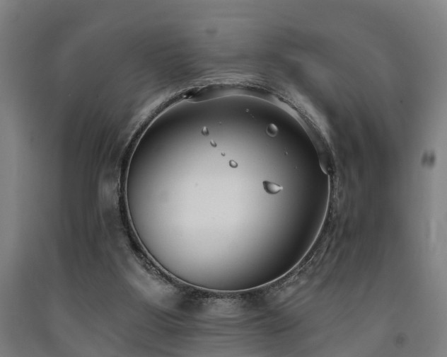 X0000093090107200709261237