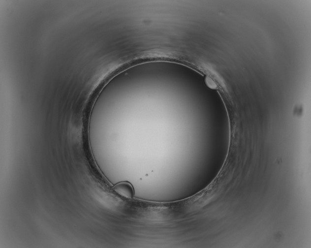 X0000093090108200709261237