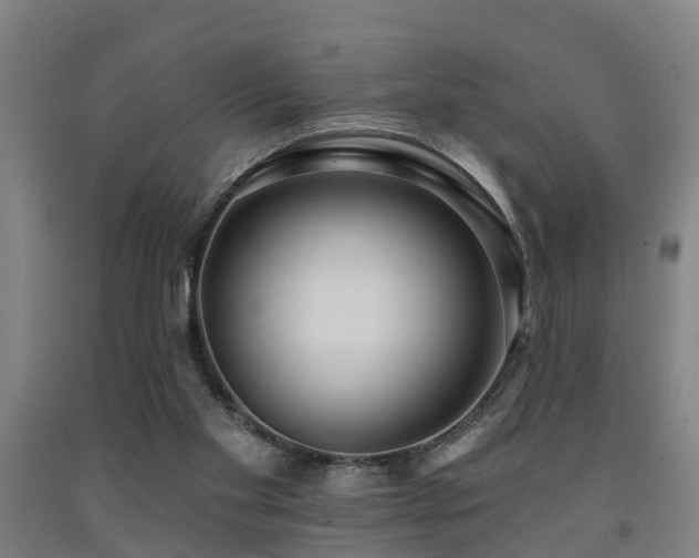 X0000093090109200709261237