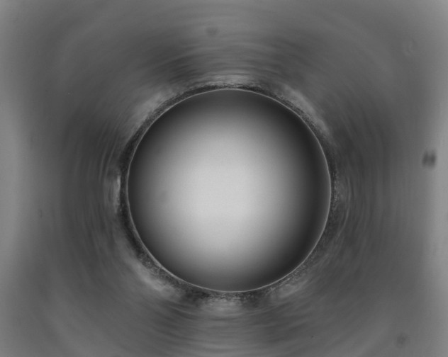X0000093090110200709261237