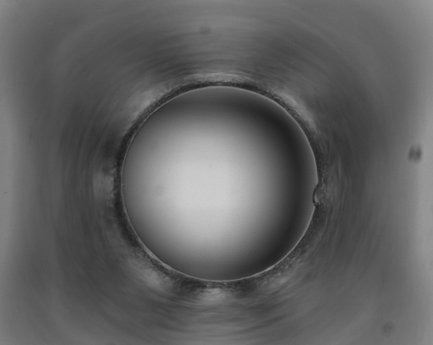 X0000093090111200709261237