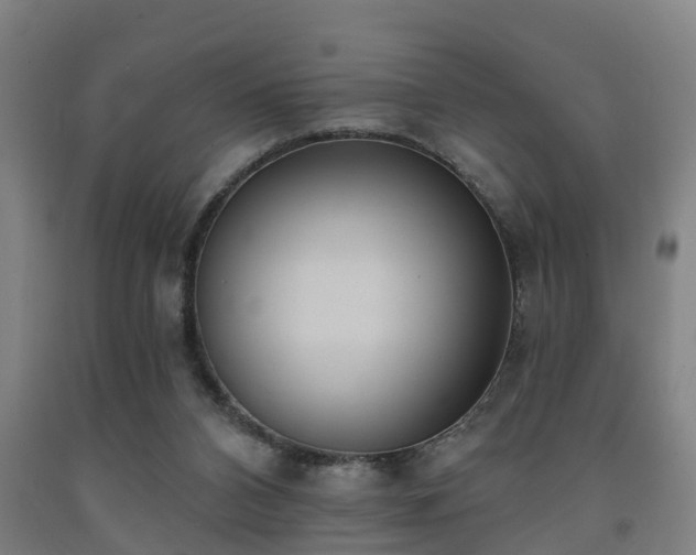 X0000093090112200709261237