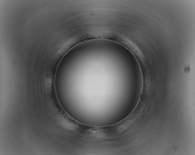 X0000093090113200709261237