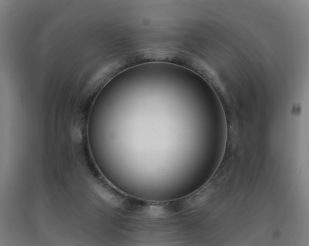 X0000093090114200709261237