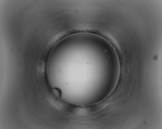 X0000093090115200709261237
