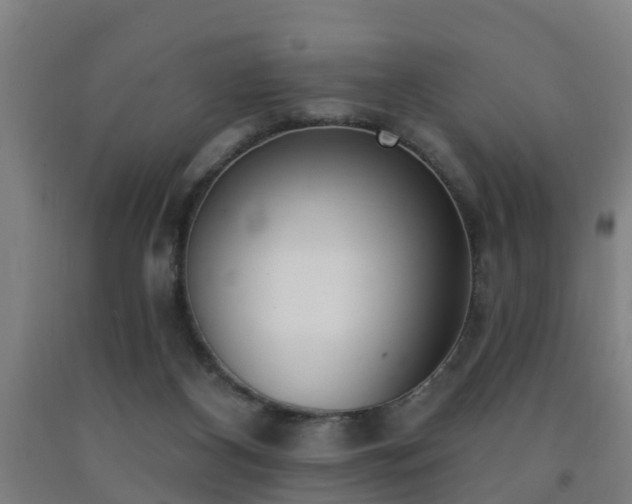 X0000093090116200709261237
