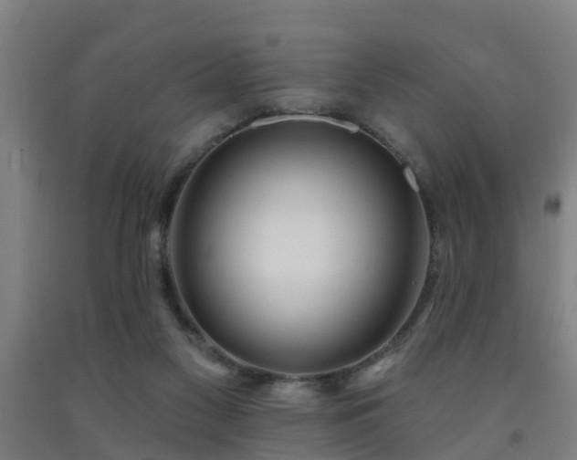 X0000093090117200709261237
