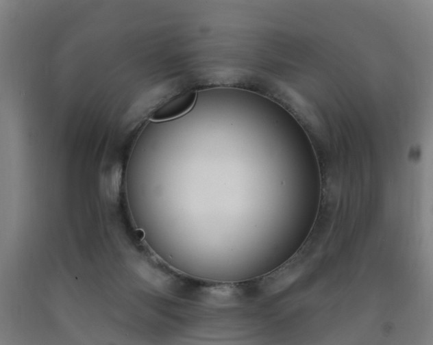 X0000093090118200709261237