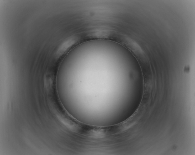 X0000093090120200709261237