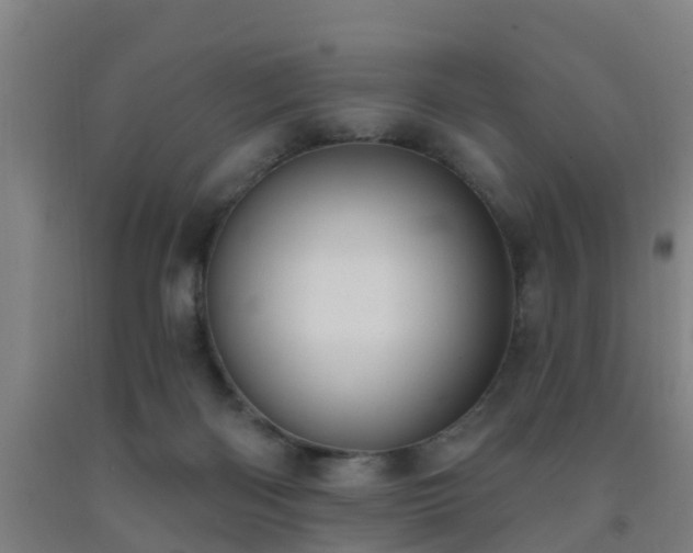 X0000093090122200709261237