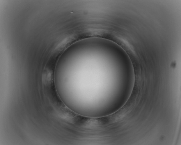 X0000093090123200709261237