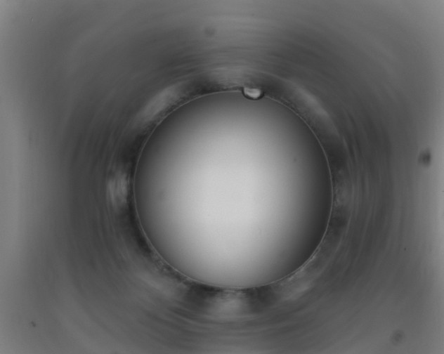 X0000093090124200709261237