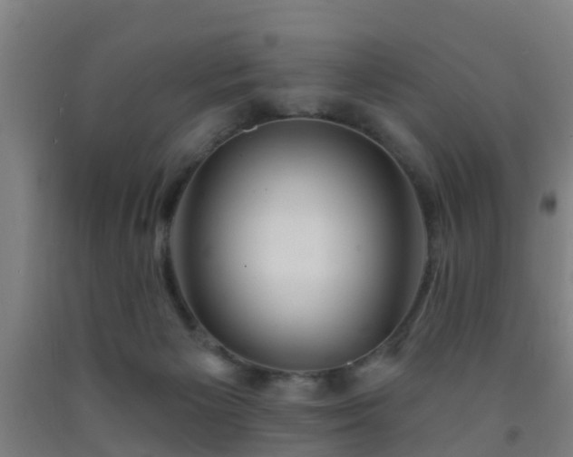 X0000093090125200709261237