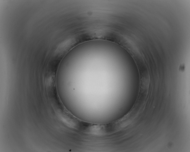 X0000093090126200709261237