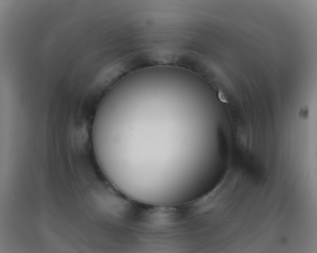 X0000093090128200709261237