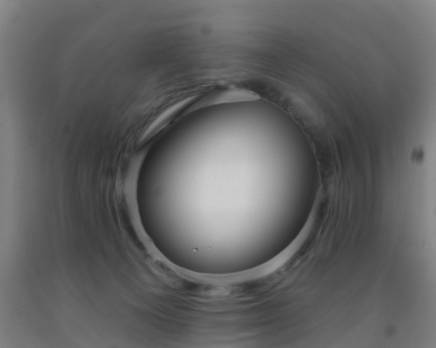 X0000093090129200709261237