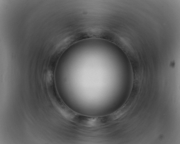 X0000093090130200709261237