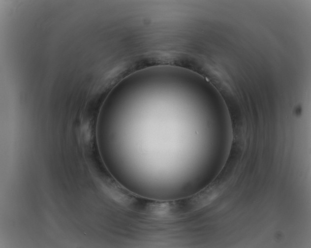 X0000093090131200709261237
