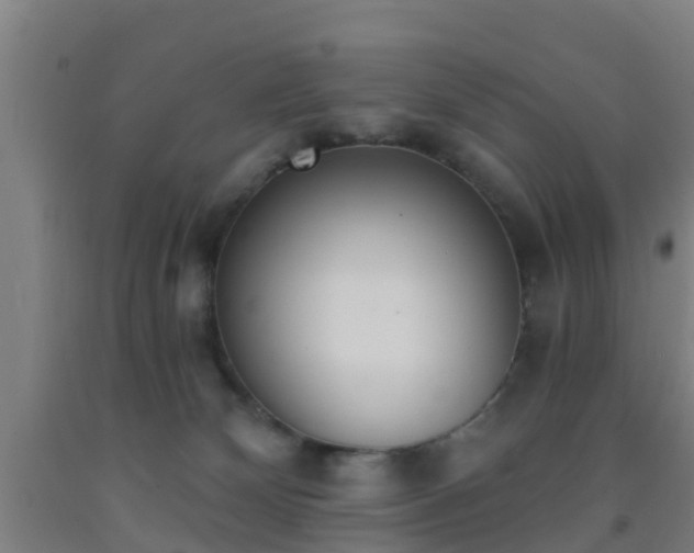 X0000093090132200709261237
