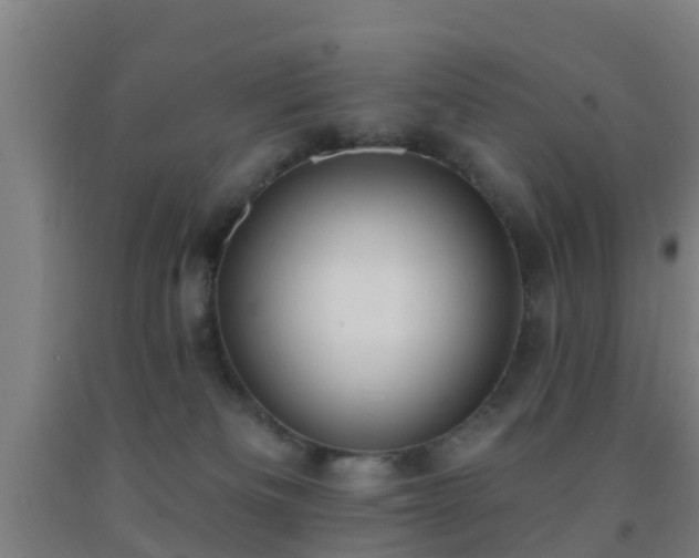 X0000093090133200709261237