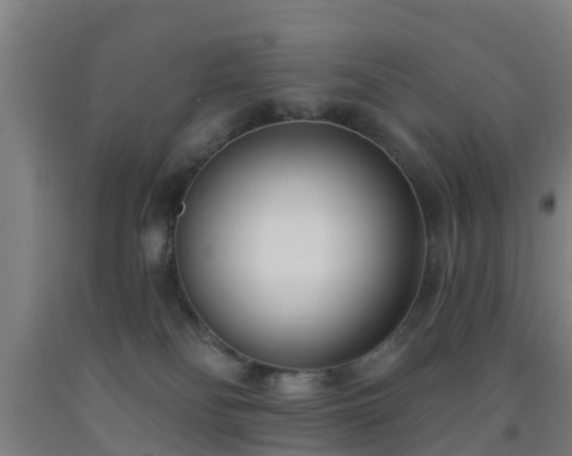 X0000093090134200709261237