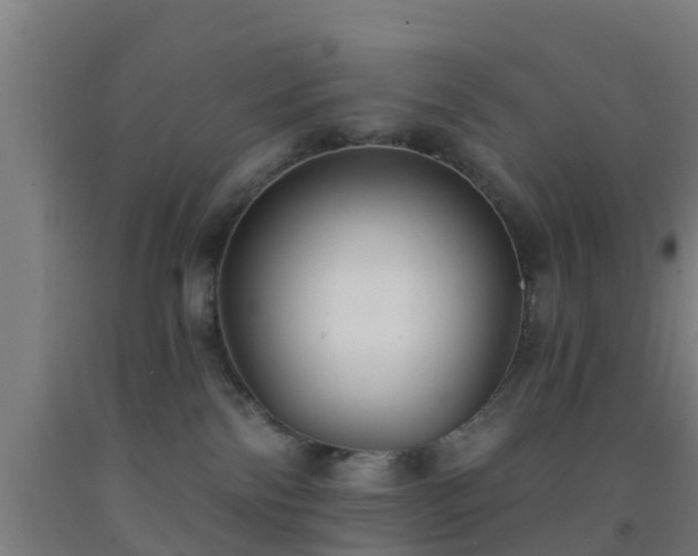 X0000093090138200709261237