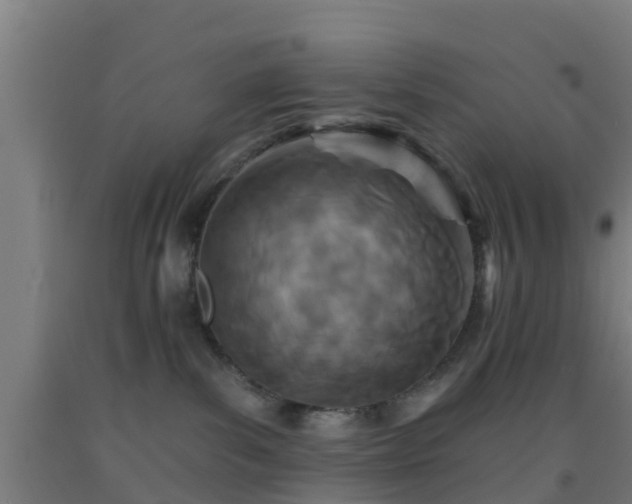 X0000093090139200709261237