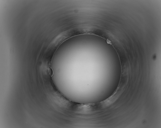 X0000093090140200709261237