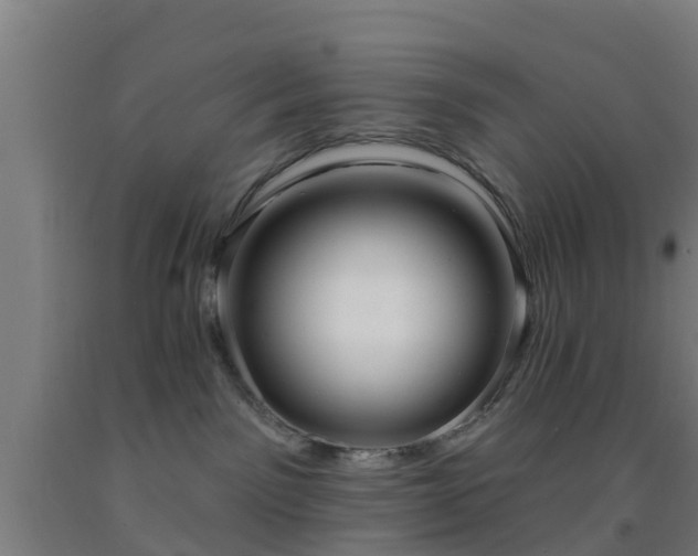 X0000093090141200709261237