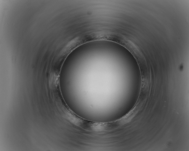 X0000093090142200709261237