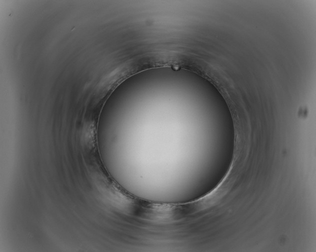 X0000093090144200709261236