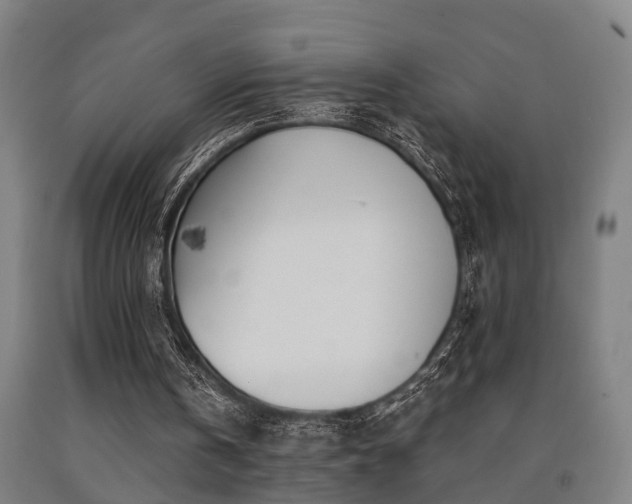 X0000093090146200709261236