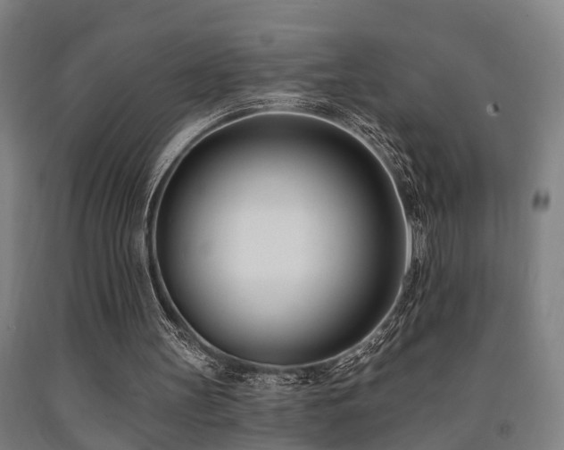 X0000093090147200709261236