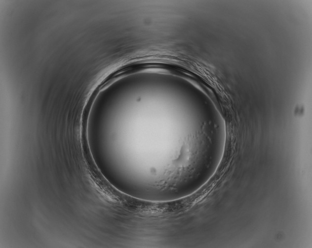 X0000093090148200709261236