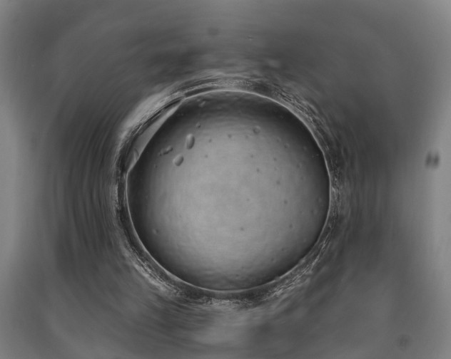 X0000093090149200709261236