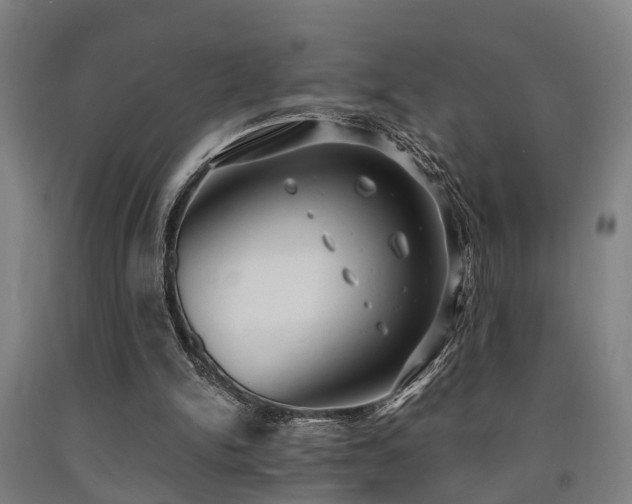 X0000093090150200709261236