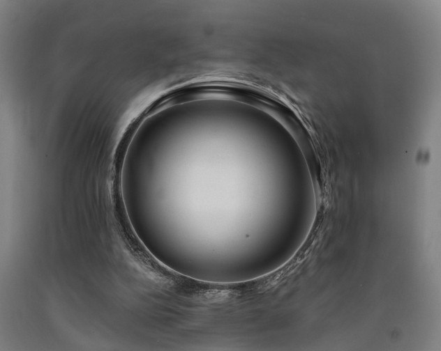 X0000093090152200709261236