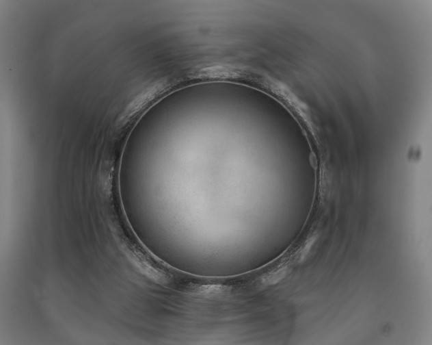 X0000093090153200709261236