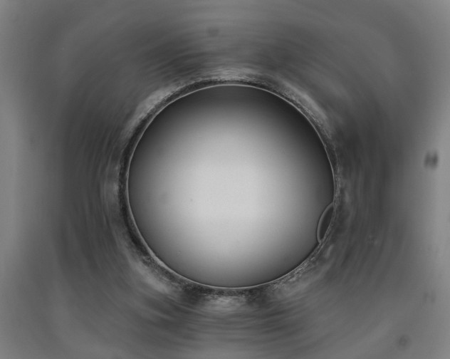 X0000093090155200709261236