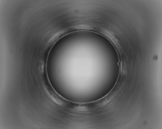 X0000093090157200709261236